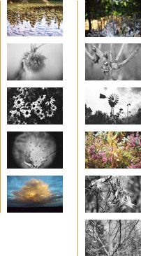 Nature series thumbnails